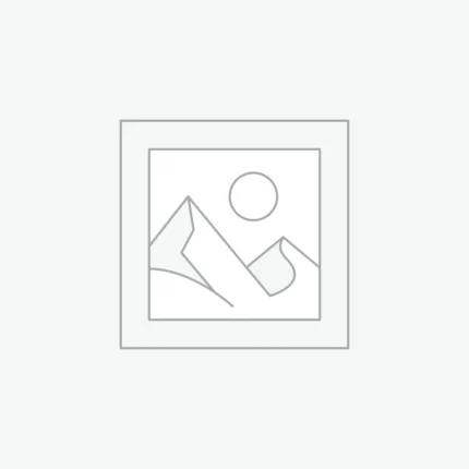 Xbox Wireless Gaming Controller | Forza Horizon 6 Limited Edition | Consoles, PCs, TVs, mobile, and more | Dynamic Lighting Effects | Wireless, Bluetooth, USB-C Connectivity